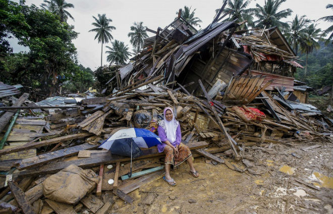 Рис. 10б. Последствия урагана в штате Пенанг в декабре 2014&nbsp;года [32]