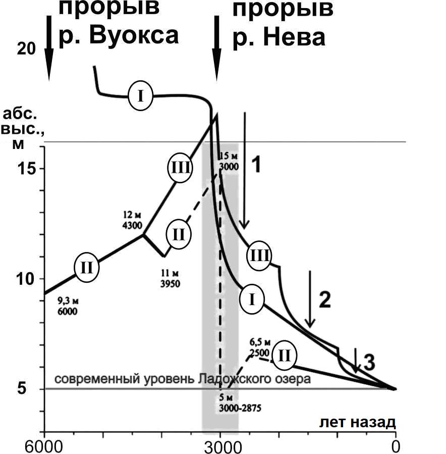 Рис. 12. Кривые хода уровня Ладожского озера в голоцене по разным данным: I&nbsp;– по&nbsp;[37], II&nbsp;– по&nbsp;[20], III&nbsp;– по&nbsp;[12]; 1, 2, 3&nbsp;– намечаемые фазы спуска уровня воды в Ладоге после максимума ладожской трансгрессии 