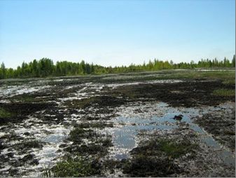 Рис.&nbsp;3. Участок на месторождении Западной Сибири, который предполагалось рекультивировать, в год загрязнения нефтью (2006&nbsp;г.)