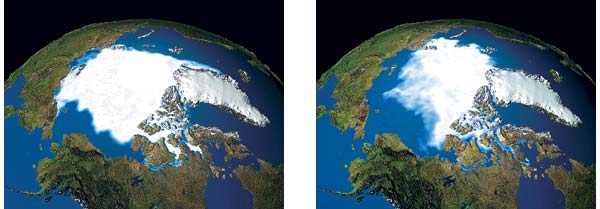Рис. 1. Области, покрытые арктическим льдом, в зимние периоды 1979&nbsp;г. (слева) и 2003&nbsp;г. (справа). Космические снимки сделаны в одно и то же время&nbsp;года [56]