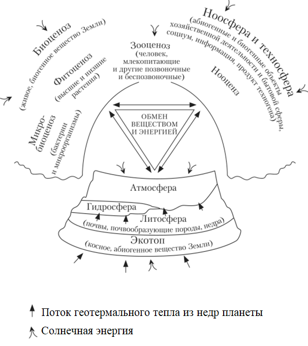 Рис. 4. Упрощенная схема круговорота веществ и энергии в глобальной экосистеме Земли&nbsp;[24]