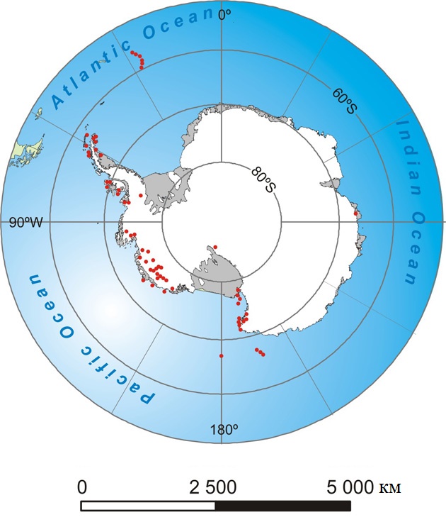 Рис. 26. Распределение вулканов возрастом от 11 млн лет на карте Антарктиды. Места расположения вулканов показаны красными точками [3]