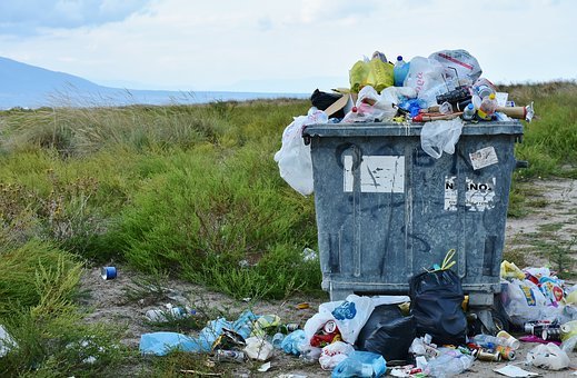 Рис. 3. Услуга по вывозу мусора зачастую не оказывается в должном объеме или вообще не оказывается, особенно в сельской местности&nbsp;[25]