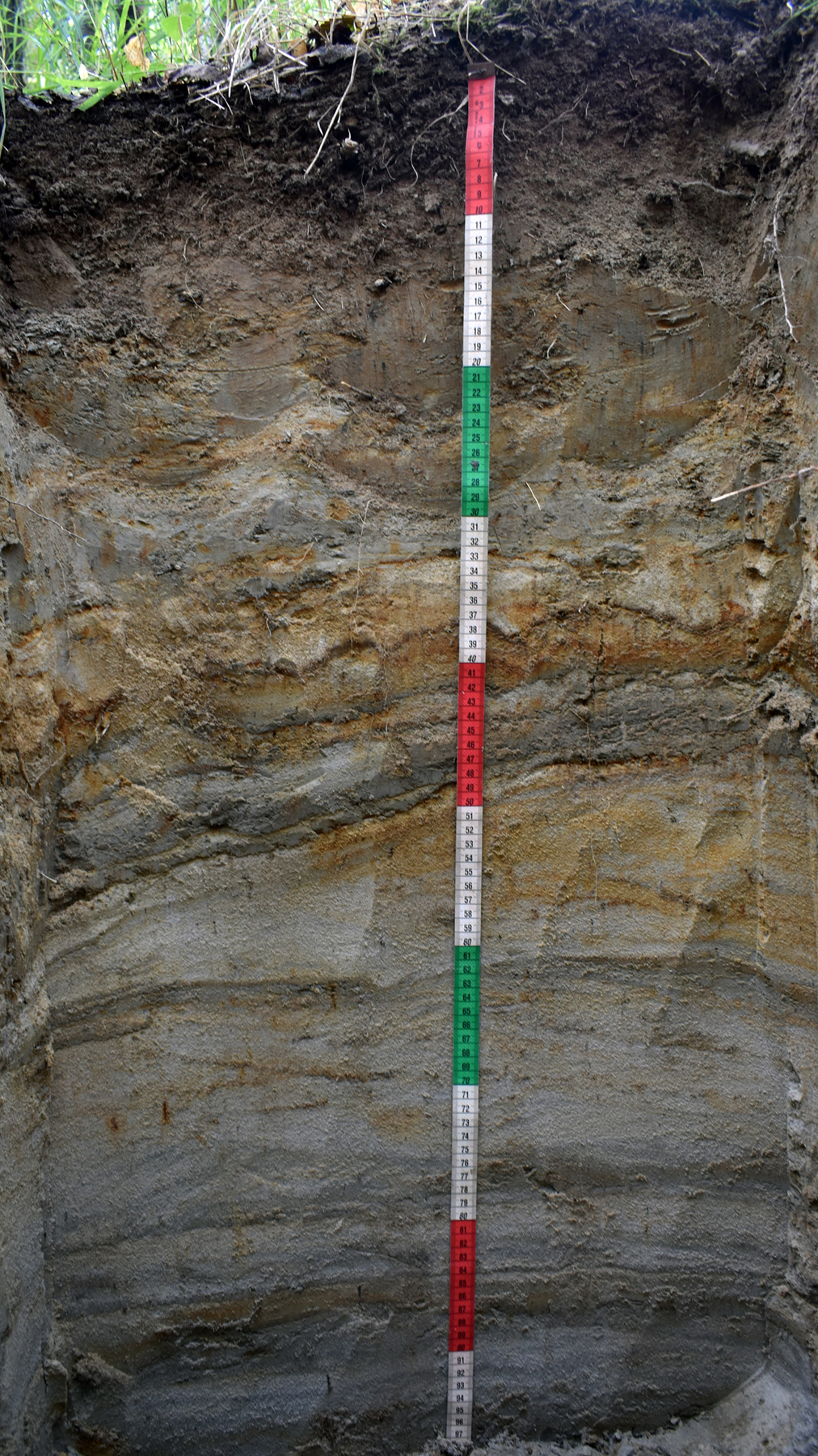 Рис. 1. Аллювиальная слоистая почва на правом берегу реки Седэяха. Автор фото Иван Семенков. Август 2021 года.