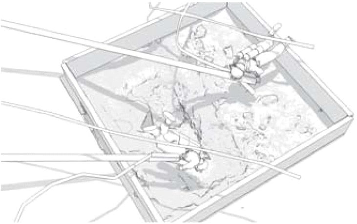 Рис.&nbsp;1. Схематическое изображение подводных археологических раскопок, выполняемых аквалангистами с использованием подводных грунтоотсасывающих устройств (рис. Родриго Пачеко-Руиса)