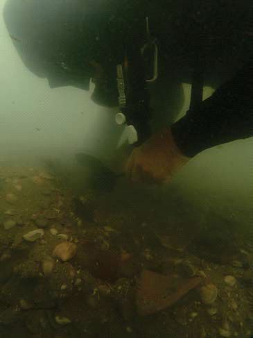 Рис.&nbsp;2. Морской археолог аккуратно удаляет рыхлые отложения из раскопа в условиях плохой видимости (фото Йохана Роннби (Johan Ronnby))