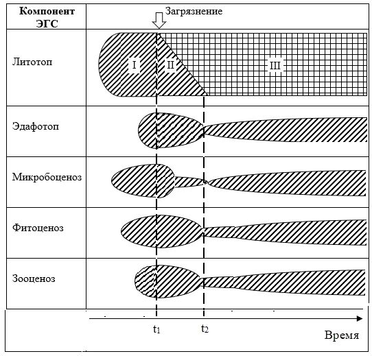 Рис. 7. Динамика компонентов ЭГС во времени при загрязнении литотопа