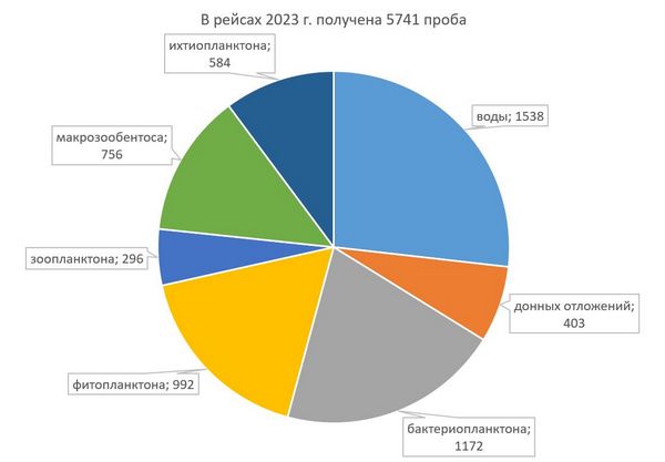 Количество проб, отобранных в рейсах в Баренцевом, Карском и Охотском морях в 2023 г.