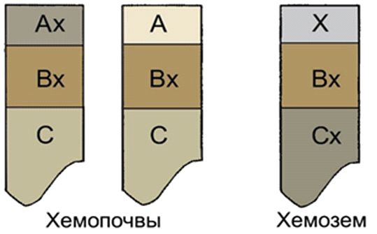 . 6.       (  &#171;&#187;       ) [27]