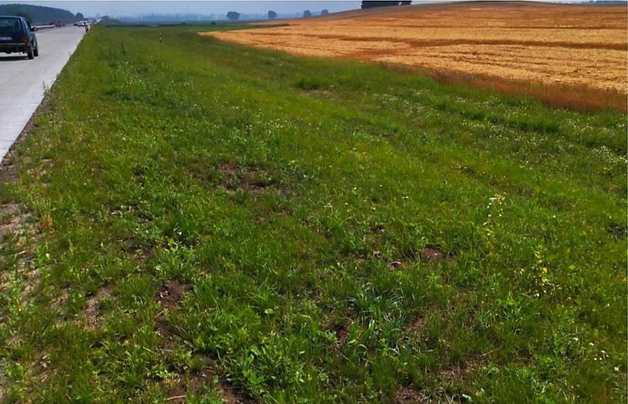 ���. 10. �������� ������������ ����� ������ ����� ������������� ����� ������� �������: � � ������, � � ������, � � ������� ��������� [45]