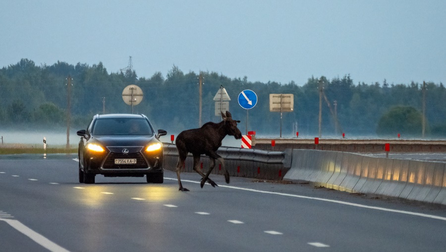 ���. 12. ���� �� ������ �6 ����������� [62]