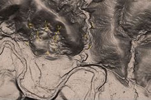 Возможности дешифрирования ОГПиЯ по данным воздушного лазерного сканирования