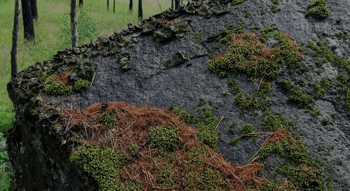 О низком качестве изучения мерзлых грунтов