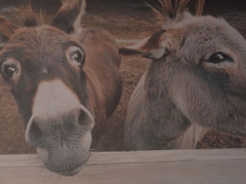 К дискуссии о некомпетентности заказчика в инженерных изысканиях