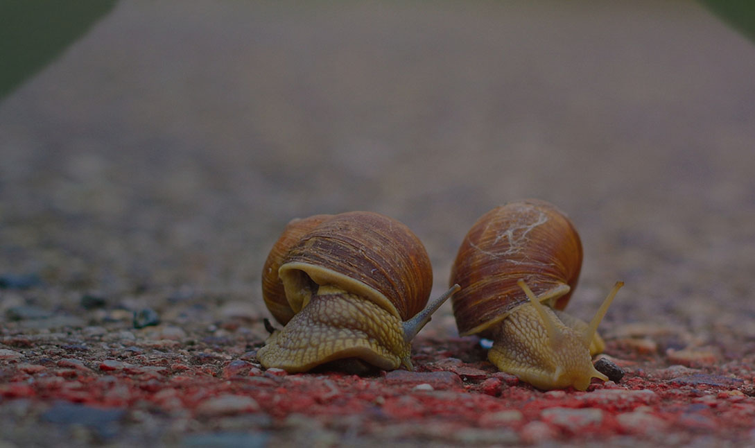 «Непотопляемый» НОПРИЗ может погубить отсутствие результата