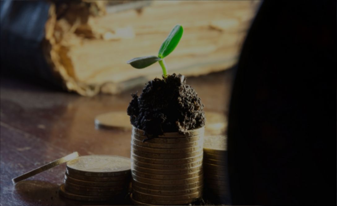 Инженерно-экологические изыскания в объеме и составе, достаточном для прохождения экспертизы