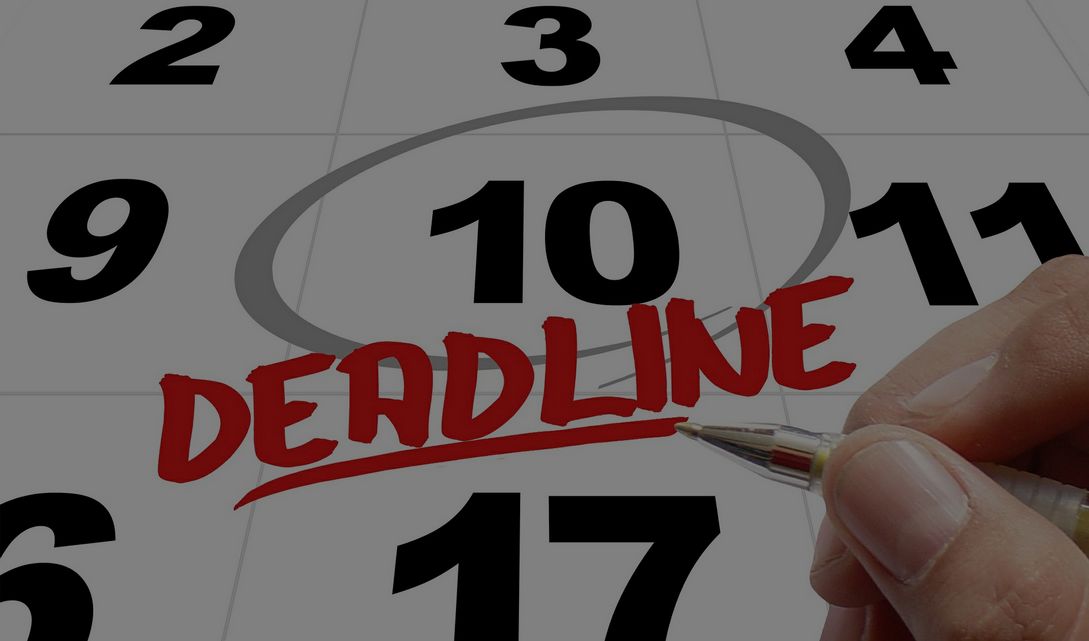 ЮЛИЯ ВАЛУЕВА: К изыскателям чаще всего предъявляют претензии по несоблюдению сроков