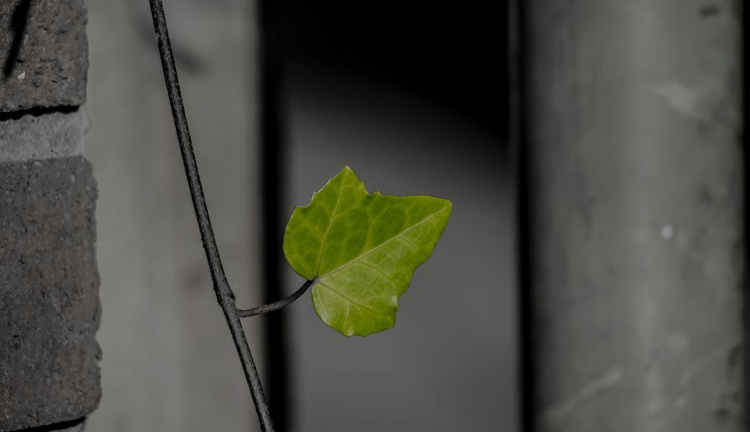 ВЛАДИМИР СЛОБОДЯН: Уговорить провести качественные экологические изыскания невозможно