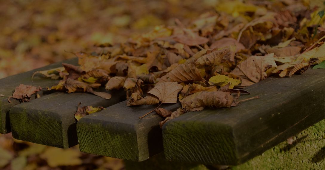 Чем запомнился ноябрь. Ретроспектива месяца