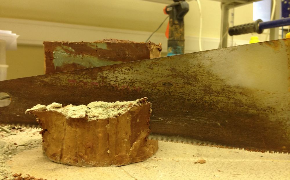 Монополия на знания