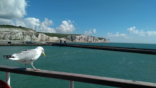 Тоннель под Ла-Маншем. Часть 1. Условия региона, осознание необходимости строительства и первые шаги