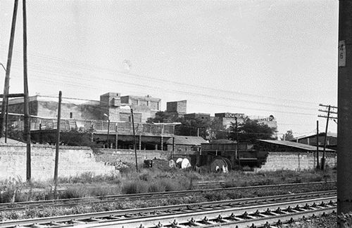 Работа в зоне бедствия (Ленинаканский дневник). Часть 7. Одним органолептиком больше