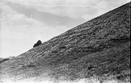 Работа в зоне бедствия (Ленинаканский дневник). Часть 10. Нормы защищают чиновников, а не людей