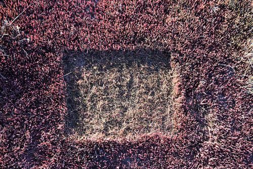 Оценку качества почв в России необходимо усовершенствовать