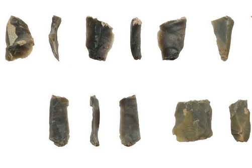 Особенности прохождения экспертизы с материалами археологического обследования