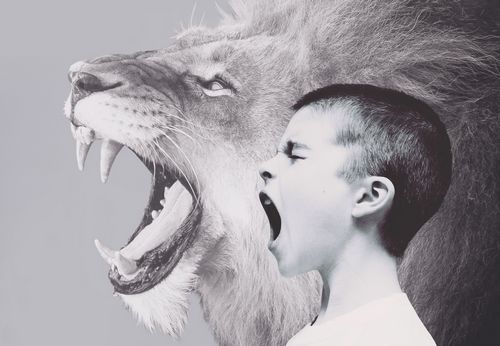 Дно близко? Почему ЛенТИСИЗ и других изыскателей вынуждают ходить за деньгами в суд