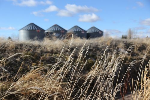Куба – любовь моя. Глава пятнадцатая. Проблемы и решения