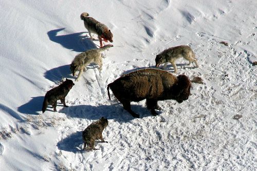 Развал проектно-изыскательских институтов. Часть 4. И все-таки, кто виноват и что делать?