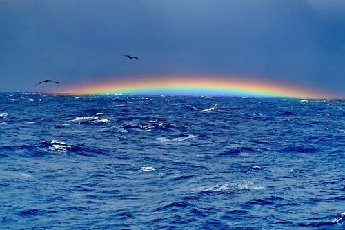 Смертельная опасность «голоса моря» реальна