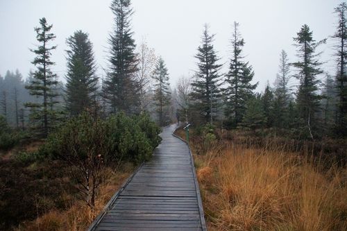 Изыскания глазами Заказчика. Реальность и ожидания