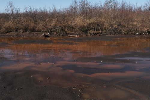 Возвращение на Камчатку. Зачем «эколог» Каваносян вводит людей в опасное заблуждение?
