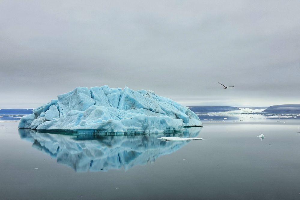 ИВАН КОРОЛЕВ: Управление ледовой обстановкой – это оперативная работа с серьезной научной базой