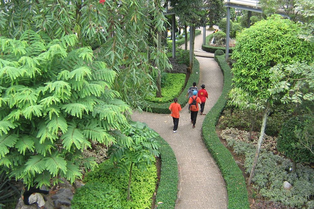 Города-губки. Учимся у природы