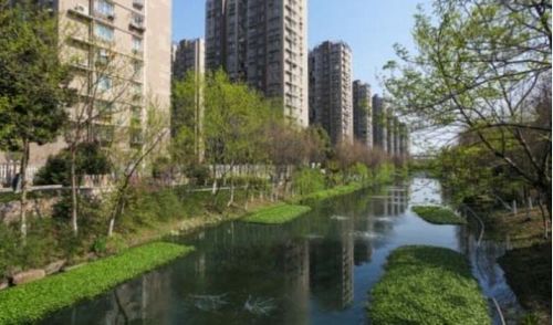 Исследования по строительству «города-губки»