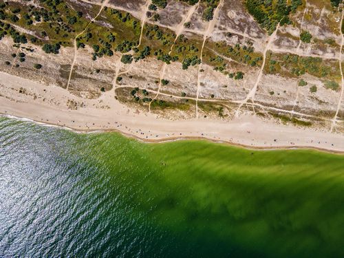 Азовское море забирает земли, Черное – бьет волнами: как защищаться, строить и отвоевывать сушу у моря