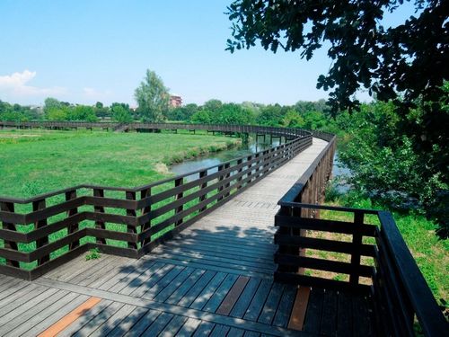 Проблемы ландшафтной архитектуры: спроектированные городские экосистемы и их общественное признание. Часть 2