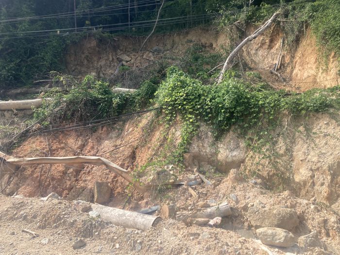 «Нарисованные» изыскания: почему растет спрос и предложение липовых документов, и какая за это ответственность