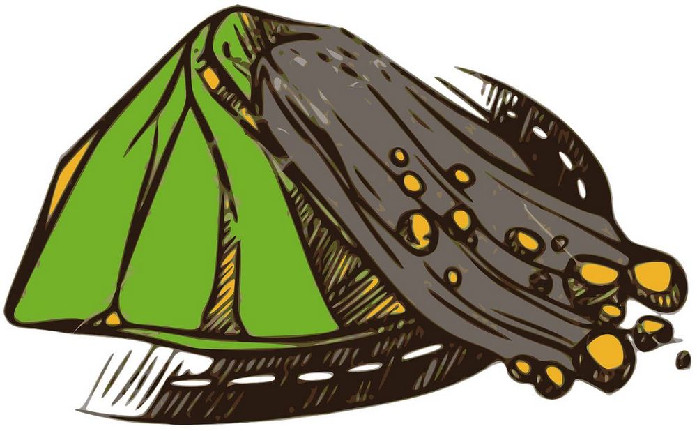 Инженерные изыскания как инструмент устранения опасных природных воздействий на строительные объекты