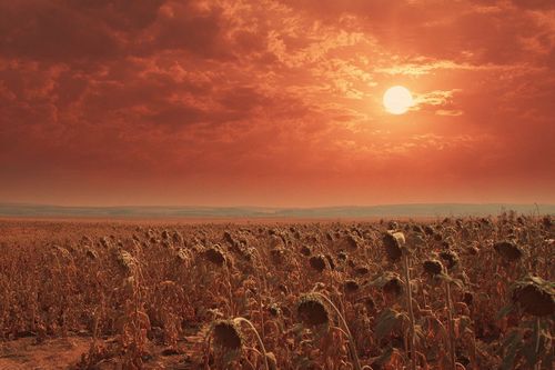 Малым рекам юга России не хватает силы половодья