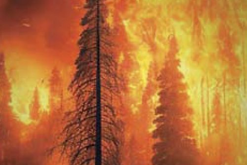 Выпуск №3/2024